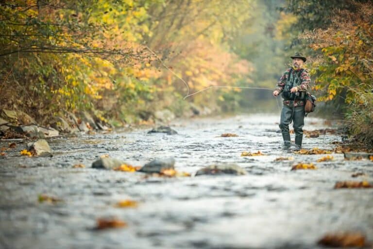 The Watauga River near Valle Crucis