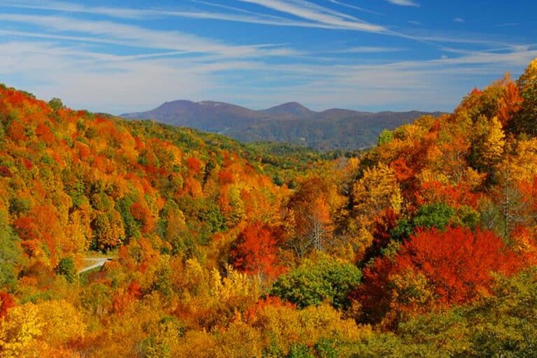 Fall color across the High Country mountains