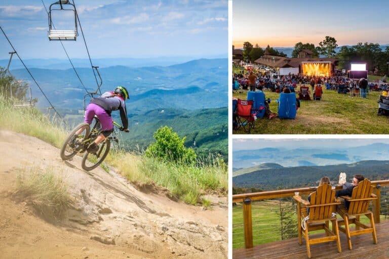 Mountain biker on a trail at Beech Mountain in summer