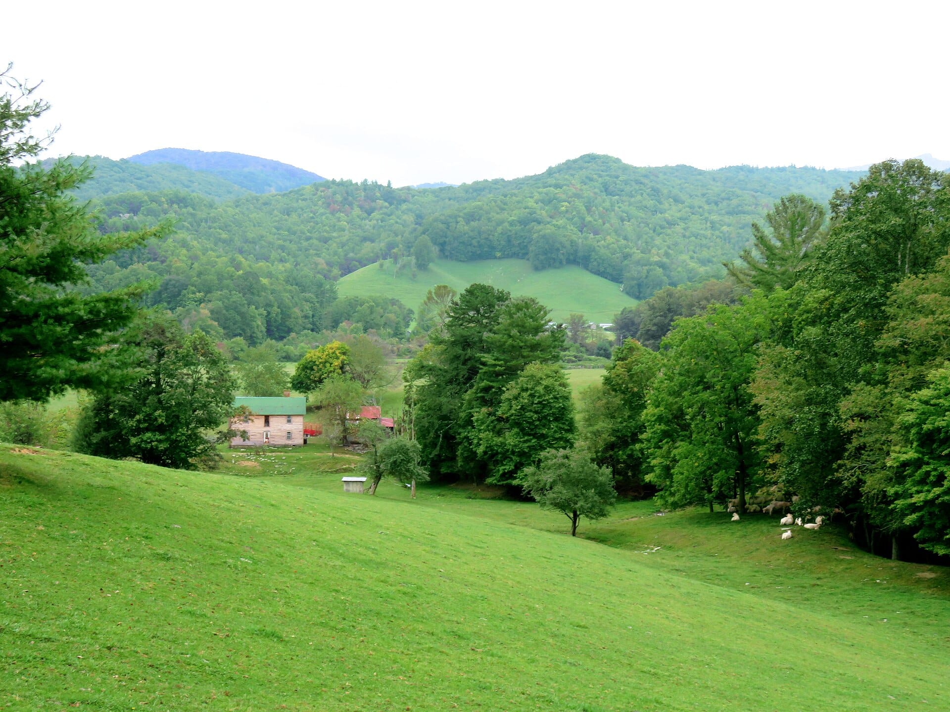 Green pastures and wooded hills in the Valle Crucis valley, North Carolina